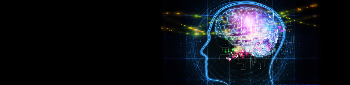 Provada amb �xit en ratolins una mol�cula per al tractament de l