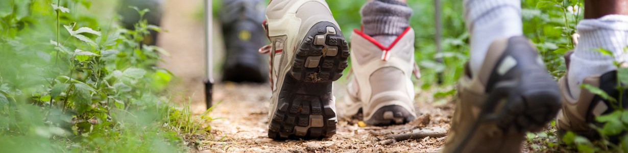 Tot a punt per la Setmana Saludable i Sostenible