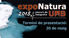 Concurs fotografia exponatura 2018