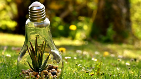 Pol�tica de preservaci� del DDD