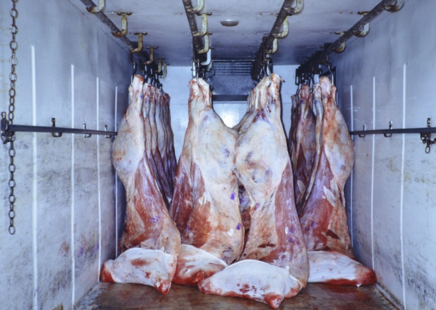 Transporte de carnes - Dipòsit Digital de Documents de la UAB