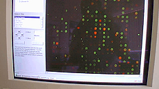 Bioinform�tica / Bioinformatics