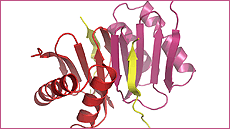 M�sters oficials de Bioci�ncies a la UAB. Biotectonologia Avan�ada