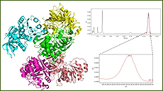 M�ster oficial de Bioqu�mica, Biologia Molecular i Biomedicina