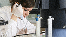 M�sters oficials de Bioci�ncies a la UAB