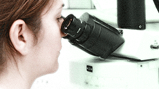 M�sters oficials de Bioci�ncies a la UAB