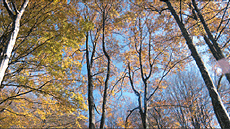 M�sters oficials de Bioci�ncies a la UAB. Ecologia Terrestre i Gesti� de la Biodiversitat