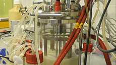 M�sters oficials de Bioci�ncies a la UAB. Biotectonologia Avan�ada