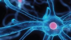 m�ster oficial EUROPHOTONICS - Erasmus Mundus en Enginyeria Fot�nica, Nanofot�nica i Biofot�nica 1