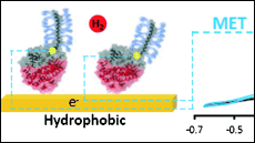 M�sters oficials de Electroqu�mica. Ci�ncia i Tecnologia 3