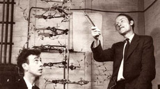 M�ster oficial en Hist�ria de la ci�ncia: ci�ncia, hist�ria i societat 