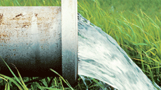 M�ster Oficial Gesti� de S�ls i Aig�es 3