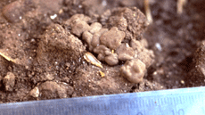 M�ster Oficial Gesti� de S�ls i Aig�es 4