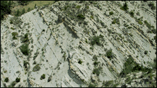 M�ster oficial de Paleontologia de la UAB