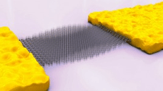 M�ster de Nanoci�ncia i Nanotecnologia Avan�ades