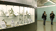 Grau Ciències Ambientals UAB