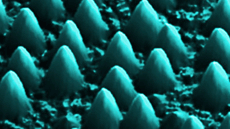 Grau Nanoci�ncia i Nanotecnologia