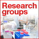 Research groups