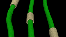 Grau Nanoci�ncia i Nanotecnologia