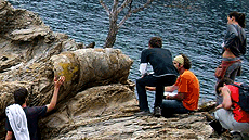 Grau Ciències Ambientals UAB