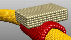 Grau Nanoci�ncia i Nanotecnologia