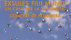 Imatge cartell Concert Primavera 2017