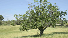 IMG_doc_ciencia_tec_ambientals_foto2