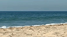 IMG_doc_ciencia_tec_ambientals_foto3