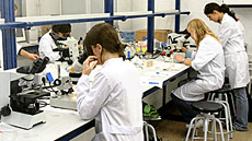 IMG_doc_ciencia_tec_ambientals_foto4