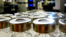 IMG_doctorat_biotecnologia_foto3