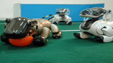 IMG_doctorat_informatica_foto3