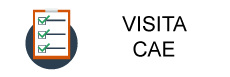Visita CAE