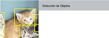 Deteccin de Objetos