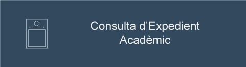 Consulta Expedient Acadmic