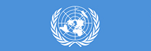 Stages Nacions Unides