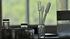 IMG_doctorat_historiaciencia_foto4