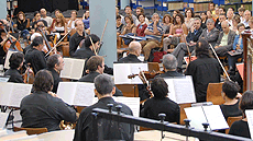  M�ster Oficial Musicologia, Educaci� Musical i Interpretaci� de la M�sica Antiga