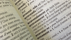 M�sters oficials de Llengua, literatura i traducci� a la UAB