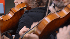 Grau Musicologia UAB