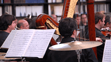 Grau Musicologia UAB