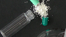 Grau de Ci�ncies Biom�diques a la UAB