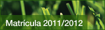 Matr�cula