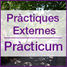 Prctiques Externes/Prcticum