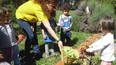 Grau de Logop�dia a la UAB