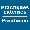 Pr�ctiques Externes/Pr�cticum