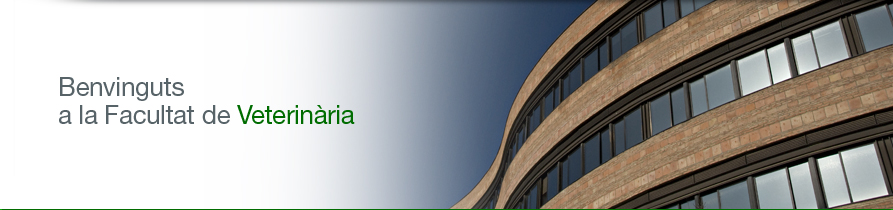 Imatge home facultat