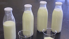 Grau de Ci�ncia i Tecnologia dels Aliments a la UAB