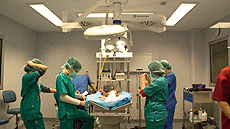 Grau de Veterināria a la UAB