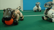 Nou doble doctorat especialitzat en Intel�lig�ncia Artificial