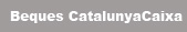Beques CatalunyaCaixa